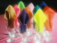Party Rental Supplie